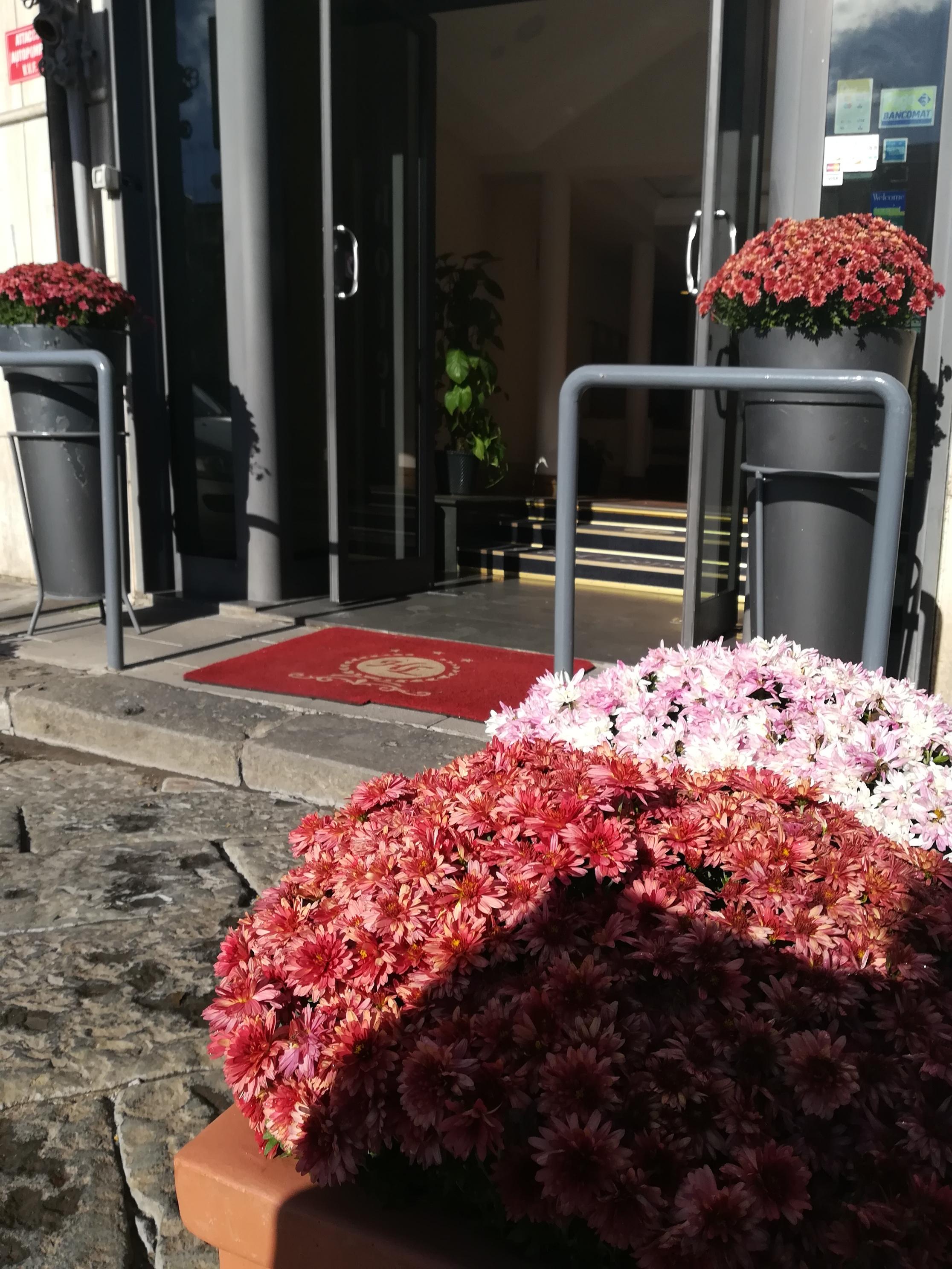 Hotel Leopardi 3*